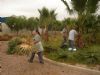 SE REALIZA UN PLAN DE CHOQUE DE ACONDICIONAMIENTO Y LIMPIEZA EN LOS PARQUES Y JARDINES DEL POLÍGONO INDUSTRIAL “EL SALADAR”