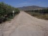 LA JUNTA DE GOBIERNO LOCAL ADJUDICA LAS OBRAS DE ARREGLO Y PAVIMENTACION DEL CAMINO DEL ANTIGUO CAMPO DE AVIACIÓN