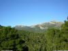 EL PROXIMO DOMINGO, 11 DE MARZO, EL CLUB SENDERISTA DE TOTANA, REALIZARA, UNA ESPECTACULAR RUTA  POR SIERRA ESPUÑA.