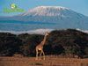 El club senderista de Totana planea un viaje este verano a Tanzania
