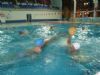 LOS USUARIOS DE LA PISCINA MUNICIPAL CUBIERTA PODRÁN DISFRUTAR CON LAS ACTIVIDADES “AQUABRASIL” Y “WATERPOLO” OFERTADAS GRATUITAMENTE POR LA CONCEJALÍA DE DEPORTES PARA EL VIERNES 14 DE MARZO (2008)