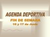 AGENDA DEPORTIVA (15/06/2007)