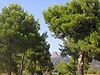 Los vecinos y propietarios colindantes con el Parque de Sierra Espuña se oponen a la creación de una franja de protección o preparque.
