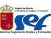 EL AYUNTAMIENTO CONTRATARÁ A 17 JÓVENES DESEMPLEADOS EL AYUNTAMIENTO CONTRATARÁ A 17 JÓVENES DESEMPLEADOS