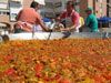 FINALIZAN LAS FIESTAS DEL CENTRO MUNICIPAL DE PERSONAS MAYORES CON LA DEGUSTACIÓN DE LA PAELLA POPULAR EN LA PLAZA BALSA VIEJA QUE CONGREGÓ A CENTENARES DE SOCIOS Y MAYORES