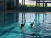 LA CONCEJALÍA DE DEPORTES ORGANIZA LA SEGUNDA EXHIBICIÓN DE NATACIÓN SINCRONIZADA EN LA PISCINA CUBIERTA CLIMATIZADA 