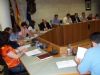 EL PLENO APRUEBA LA REALIZACIÓN DE UN ESTUDIO PARA REVITALIZAR EL COMERCIO LOCAL Y LA CREACIÓN DE UNA COMISIÓN DEL MENOR, ENTRE MÁS DE UNA VEINTENA DE PROPUESTAS (2008)