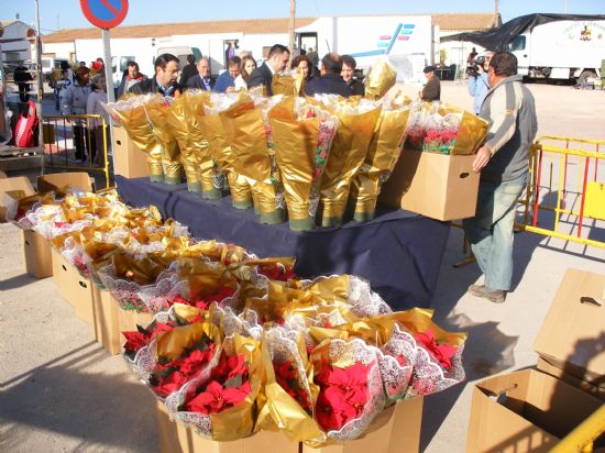 REPARTEN 300 MACETAS DE FLORES DE PASCUA EN EL MERCADILLO SEMANAL DE EL PARETÓN-CANTAREROS CON MOTIVO DE LA NAVIDAD, Foto 3