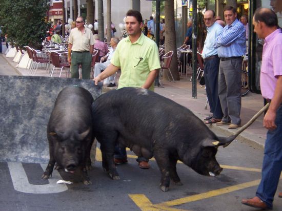 MÁS DE 200 GANADEROS DE TOTANA ESTUVIERON PRESENTES EN LA MANIFESTACIÓN PARA PEDIR SOLUCIONES A LA CRISIS DEL SECTOR EN LA REGIÓN, Foto 4