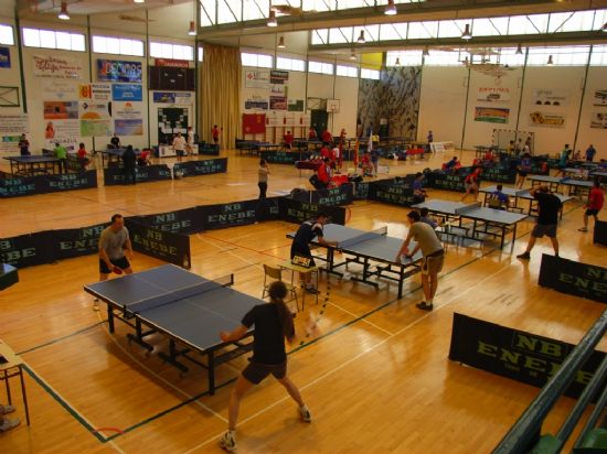 EL PABELLÓN DE DEPORTES MANOLO IBÁÑEZ ACOGE EL III OPEN REGIONAL DE TENIS DE MESA CON UN TOTAL DE 200 PARTICIPANTES EN LAS CATEGORIAS BENJAMÍN, ALEVÍN, JUVENIL, VETERANO Y ABSOLUTA (2008), Foto 4