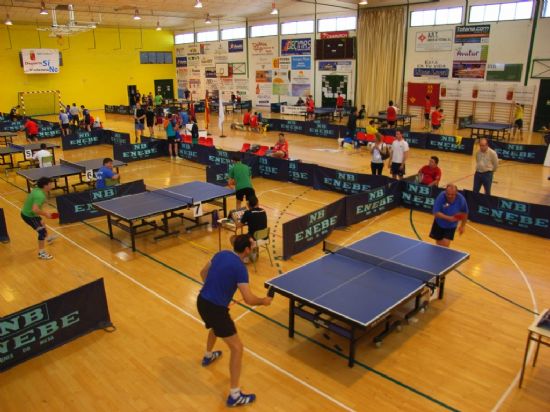 EL PABELLÓN DE DEPORTES MANOLO IBÁÑEZ ACOGE EL III OPEN REGIONAL DE TENIS DE MESA CON UN TOTAL DE 200 PARTICIPANTES EN LAS CATEGORIAS BENJAMÍN, ALEVÍN, JUVENIL, VETERANO Y ABSOLUTA (2008), Foto 5