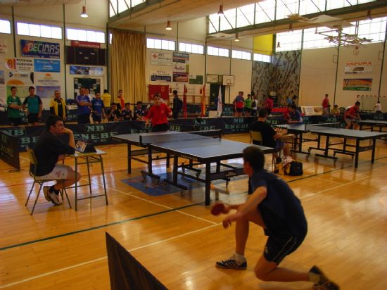 EL PABELLÓN DE DEPORTES MANOLO IBÁÑEZ ACOGE EL III OPEN REGIONAL DE TENIS DE MESA CON UN TOTAL DE 200 PARTICIPANTES EN LAS CATEGORIAS BENJAMÍN, ALEVÍN, JUVENIL, VETERANO Y ABSOLUTA (2008), Foto 6