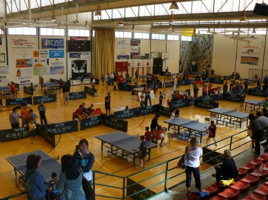 EL PABELLÓN DE DEPORTES MANOLO IBÁÑEZ ACOGE EL III OPEN REGIONAL DE TENIS DE MESA CON UN TOTAL DE 200 PARTICIPANTES EN LAS CATEGORIAS BENJAMÍN, ALEVÍN, JUVENIL, VETERANO Y ABSOLUTA (2008), Foto 7