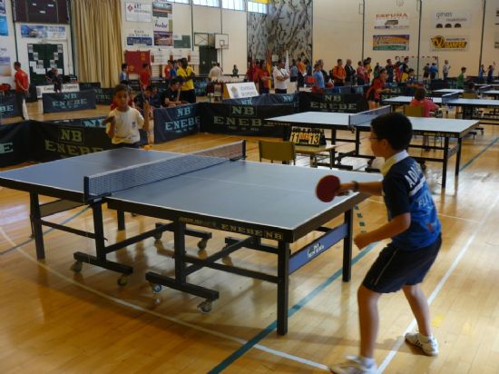 EL PABELLÓN DE DEPORTES MANOLO IBÁÑEZ ACOGE EL III OPEN REGIONAL DE TENIS DE MESA CON UN TOTAL DE 200 PARTICIPANTES EN LAS CATEGORIAS BENJAMÍN, ALEVÍN, JUVENIL, VETERANO Y ABSOLUTA (2008), Foto 8