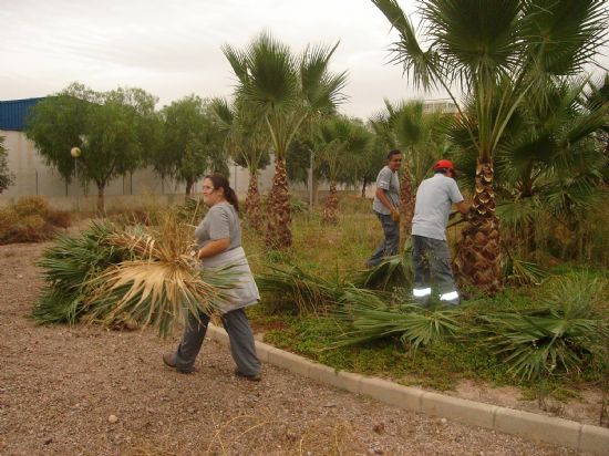 SE REALIZA UN PLAN DE CHOQUE DE ACONDICIONAMIENTO Y LIMPIEZA EN LOS PARQUES Y JARDINES DEL POLÍGONO INDUSTRIAL “EL SALADAR”, Foto 1