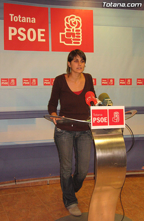 EL PSOE ACUSA AL PP DE INEPTITUD Y DEJADEZ EN MATERIA DE VIVIENDA, Foto 3