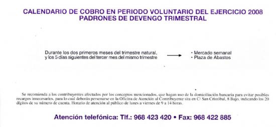 LA OFICINA DE ATENCIÓN AL CONTRIBUYENTE INFORMA SOBRE EL CALENDARIO DE COBRO EN PERIODO VOLUNTARIO DEL EJERCICIO 2008 (2008), Foto 3