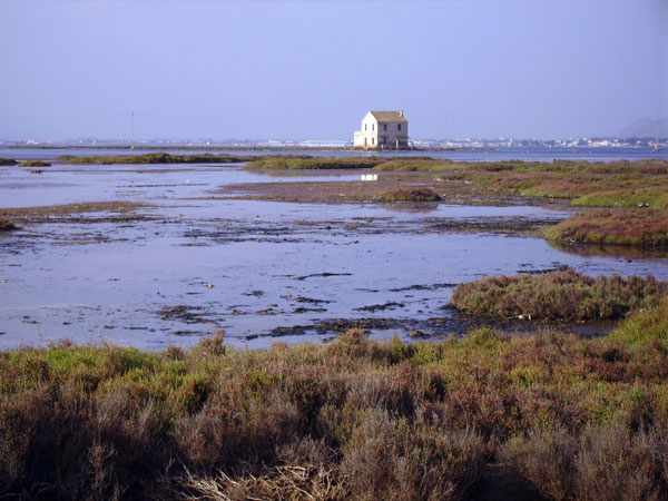 EL CLUB SENDERISTA DE TOTANA RECORRIO EL PARQUE NATURAL DE LAS SALINAS Y ARENALES DE SAN PEDRO DEL PINATAR, Foto 1