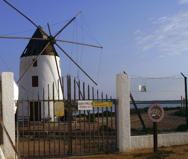 EL CLUB SENDERISTA DE TOTANA RECORRIO EL PARQUE NATURAL DE LAS SALINAS Y ARENALES DE SAN PEDRO DEL PINATAR, Foto 3