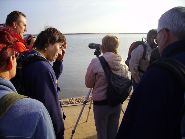 EL CLUB SENDERISTA DE TOTANA RECORRIO EL PARQUE NATURAL DE LAS SALINAS Y ARENALES DE SAN PEDRO DEL PINATAR, Foto 4