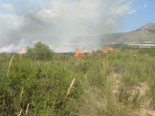 PROTECCIÓN CIVIL DE TOTANA COLABORA EN LA EXTINCIÓN DE UN INCENDIO EN EL PARAJE DEL LLANO DE LAS CABRAS, EN SIERRA ESPUÑA, Foto 2