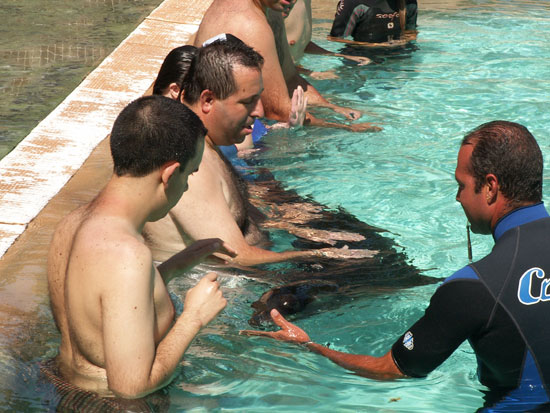 JUGANDO CON LEONES MARINOS, Foto 5