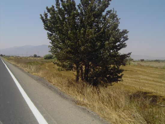 SE ADJUDICA EL ÚLTIMO TRAMO PARA ACONDICIONAR LA CARRETERA D-22 DE EL RAIGUERO Y LA FASE DEFINITIVA DEL CAMINO REAL, Foto 1