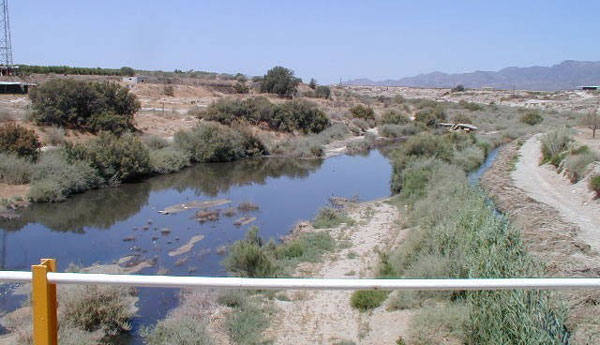 LA CHS PROCEDE A LA ELIMINACIÓN DE LAS ZONAS DE ESTANCAMIENTO EN EL CAUCE DEL RÍO GUADALENTÍN PARA EVITAR MOLESTIAS DE LOS VECINOS   , Foto 1