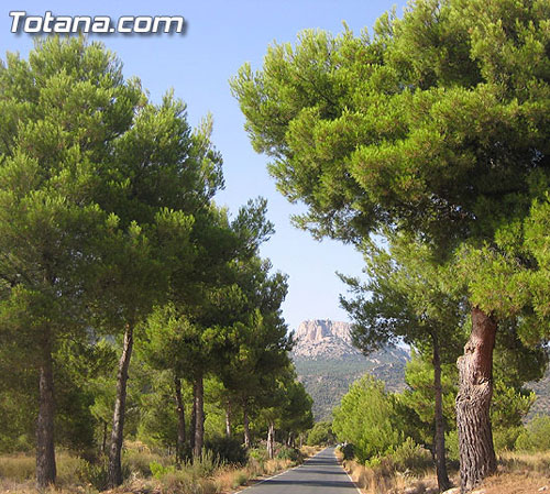 EL PARQUE REGIONAL DE SIERRA ESPUÑA ACOGE EL IX ENCUENTRO DE LA RED IBÉRICA DE ECOALDEAS, Foto 1