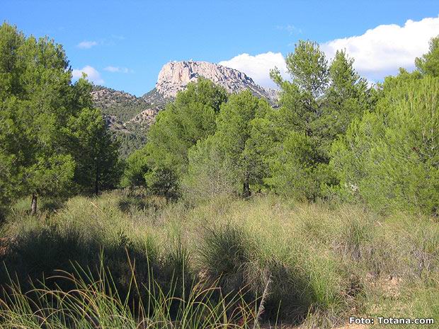 EL CONSEJERO DE TURISMO PRESIDE MAÑANA LA CREACIÓN DEL NUEVO CONSORCIO DE TURISMO DE LA SIERRA DE ESPUÑA, Foto 1