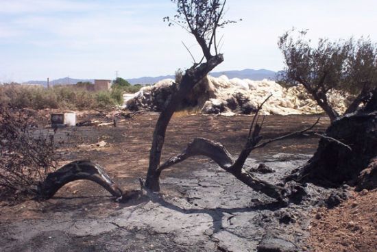 Un helicóptero de Protección Civil intervino ayer en el incendio que se declaró en el paraje La Ñorica, Foto 4