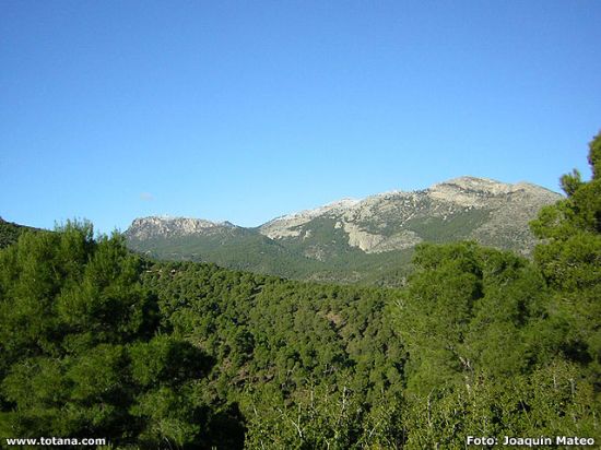 EL PROXIMO DOMINGO, 11 DE MARZO, EL CLUB SENDERISTA DE TOTANA, REALIZARA, UNA ESPECTACULAR RUTA  POR SIERRA ESPUÑA., Foto 1