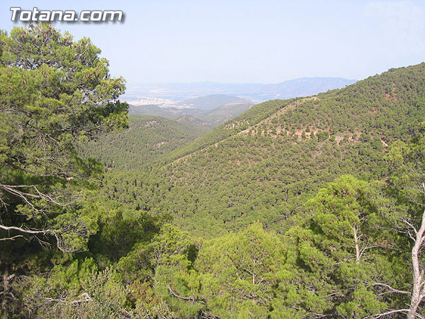 CHARLA COLOQUIO EN EL CENTRO CULTURAL Y OBRERO DE TOTANA: RUTA JURÁSICA EN SIERRA ESPUÑA, Foto 1