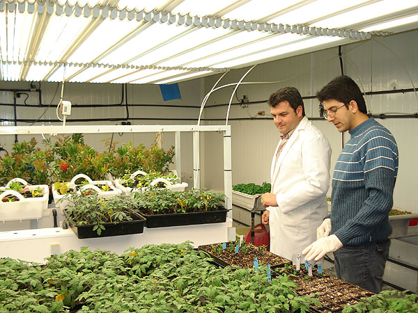 DIRIGENTES DE IU EN TOTANA, ENTRE LOS QUE SE ENCUENTRAN CARGOS PÚBLICOS, SINDICALISTAS Y PRESIDENTES DE ASOCIACIONES, PROPONEN A PEDRO MARTÍNEZ GÓMEZ COMO CANDIDATO A LA ALCALDÍA, Foto 3