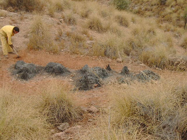 PROTECCIÓN CIVIL INTERVIENE EN UN PEQUEÑO INCENDIO EN SIERRA ESPUÑA ORIGINADO POR EL RAYO DE UNA TORMENTA, Foto 1