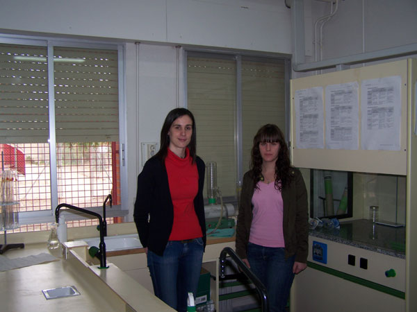 Notable éxito de estudiantes del Bachillerato Internacional del Instituto Juan de la Cierva de Totana en la Olimpiada de Física y en la Olimpiada de Química, Foto 3