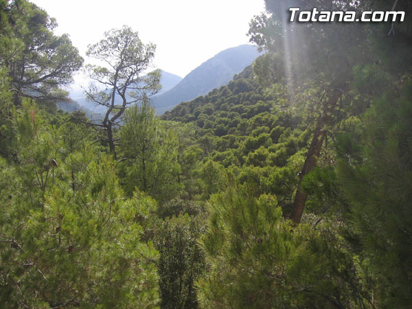 IU EN TOTANA SOLICITA LA INCORPORACIÓN DEL PARQUE REGIONAL DE SIERRA ESPUÑA EN LA RED DE PARQUES NACIONALES, Foto 1