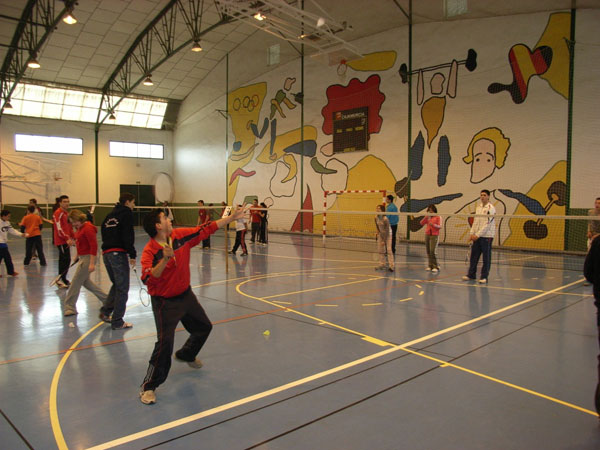 14 ESCOLARES DE TOTANA SE CLASIFICAN PARA LA FINAL REGIONAL ESCOLAR DE BADMINTON, QUE TENDRÁ LUGAR EN TOTANA, EL PRÓXIMO SÁBADO 16 DE FEBRERO, Foto 2