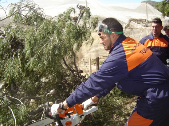 VOLUNTARIOS DE PROTECCIÓN CIVIL TRABAJAN DURANTE TODO EL FIN DE SEMANA EN REALIZAR LABORES DE LIMPIEZA EN INFRAESTRUCTURAS PÚBLICAS Y PRIVADAS TRAS TEMPORAL DE VIENTO, Foto 6