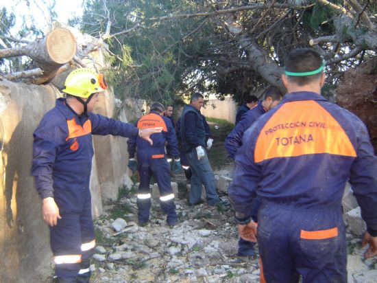 VOLUNTARIOS DE PROTECCIÓN CIVIL TRABAJAN DURANTE TODO EL FIN DE SEMANA EN REALIZAR LABORES DE LIMPIEZA EN INFRAESTRUCTURAS PÚBLICAS Y PRIVADAS TRAS TEMPORAL DE VIENTO, Foto 8