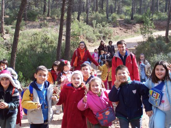 FINALIZA LA SÉPTIMA EDICIÓN DEL PROGRAMA TOTANA Y SU ENTORNO PROMOVIDO POR LA CONCEJALÍA DE EDUCACIÓN EN EL QUE HAN PARTICIPADO TODOS LOS CENTROS DE ENSEÑANZA, Foto 3