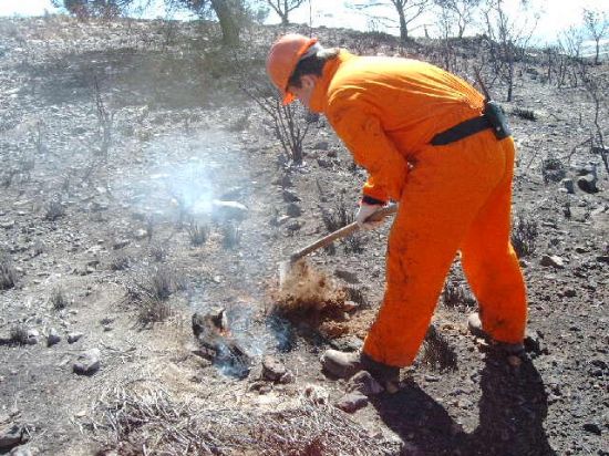 EFECTIVOS DE PROTECCIÓN CIVIL DE TOTANA PARTICIPAN EN LAS LABORES DE EXTINCIÓN DEL INCENDIO EN LA SIERRA DE CARRASCOY   , Foto 1