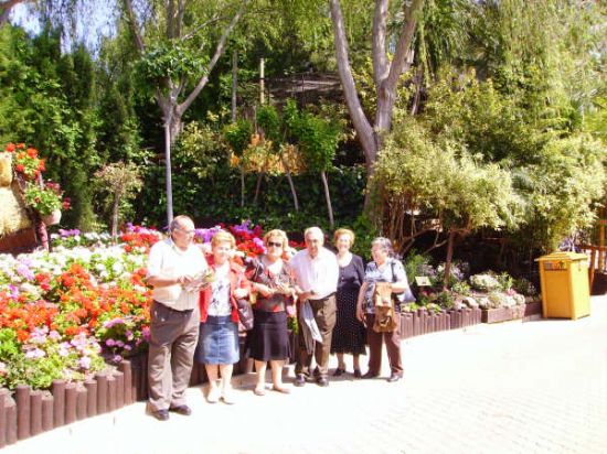 MÁS DE UN CENTENAR DE SOCIOS DEL CENTRO MUNICIPAL DE PERSONAS MAYORES DE TOTANA REALIZA UNA EXCURSIÓN A BENIDORM (2008), Foto 1