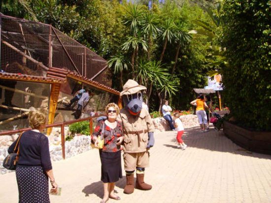 MÁS DE UN CENTENAR DE SOCIOS DEL CENTRO MUNICIPAL DE PERSONAS MAYORES DE TOTANA REALIZA UNA EXCURSIÓN A BENIDORM (2008), Foto 2