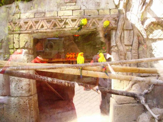 MÁS DE UN CENTENAR DE SOCIOS DEL CENTRO MUNICIPAL DE PERSONAS MAYORES DE TOTANA REALIZA UNA EXCURSIÓN A BENIDORM (2008), Foto 3