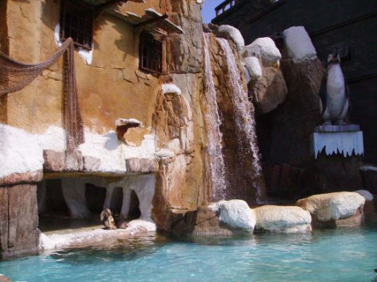 MÁS DE UN CENTENAR DE SOCIOS DEL CENTRO MUNICIPAL DE PERSONAS MAYORES DE TOTANA REALIZA UNA EXCURSIÓN A BENIDORM (2008), Foto 5