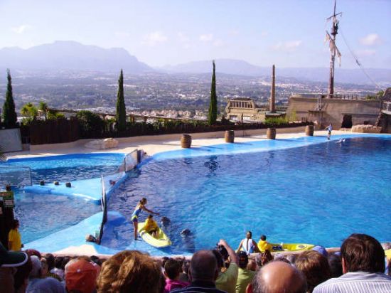 MÁS DE UN CENTENAR DE SOCIOS DEL CENTRO MUNICIPAL DE PERSONAS MAYORES DE TOTANA REALIZA UNA EXCURSIÓN A BENIDORM (2008), Foto 6