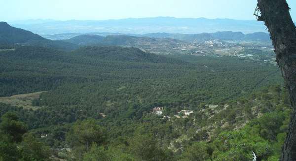 El Consejero de Medio Ambiente aseguró al Presidente de APESE que Sierra Espuña no será Parque Nacional si se oponen los propietarios, Foto 1