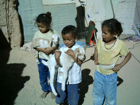 LAS FAMILIAS TOTANERAS QUE QUIERAN ACOGER A NIÑOS SAHARAUIS A TRAVÉS DEL PROGRAMA “VACACIONES EN PAZ”, DURANTE LOS MESES DE JULIO Y AGOSTO, TENDRÁN QUE PRESENTAR LA SOLICITUD ANTES DEL 30 DE ABRIL, Foto 1