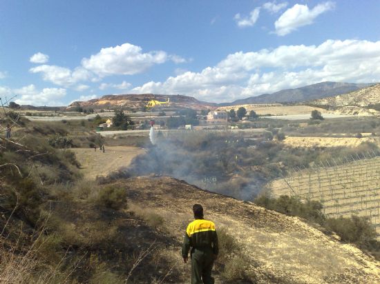 VOLUNTARIOS DE PROTECCIÓN CIVIL DE TOTANA COLABORAN EN LA EXTINCIÓN DE UN CONATO FORESTAL EN LA ZONA DE VIÑAS-CARIVETE, Foto 4